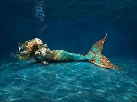 mermaiidd nudes|Mermaid